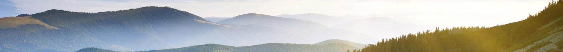 �(y��)��banner